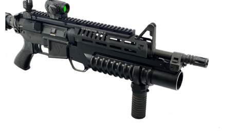CASV-M 10" Handguard